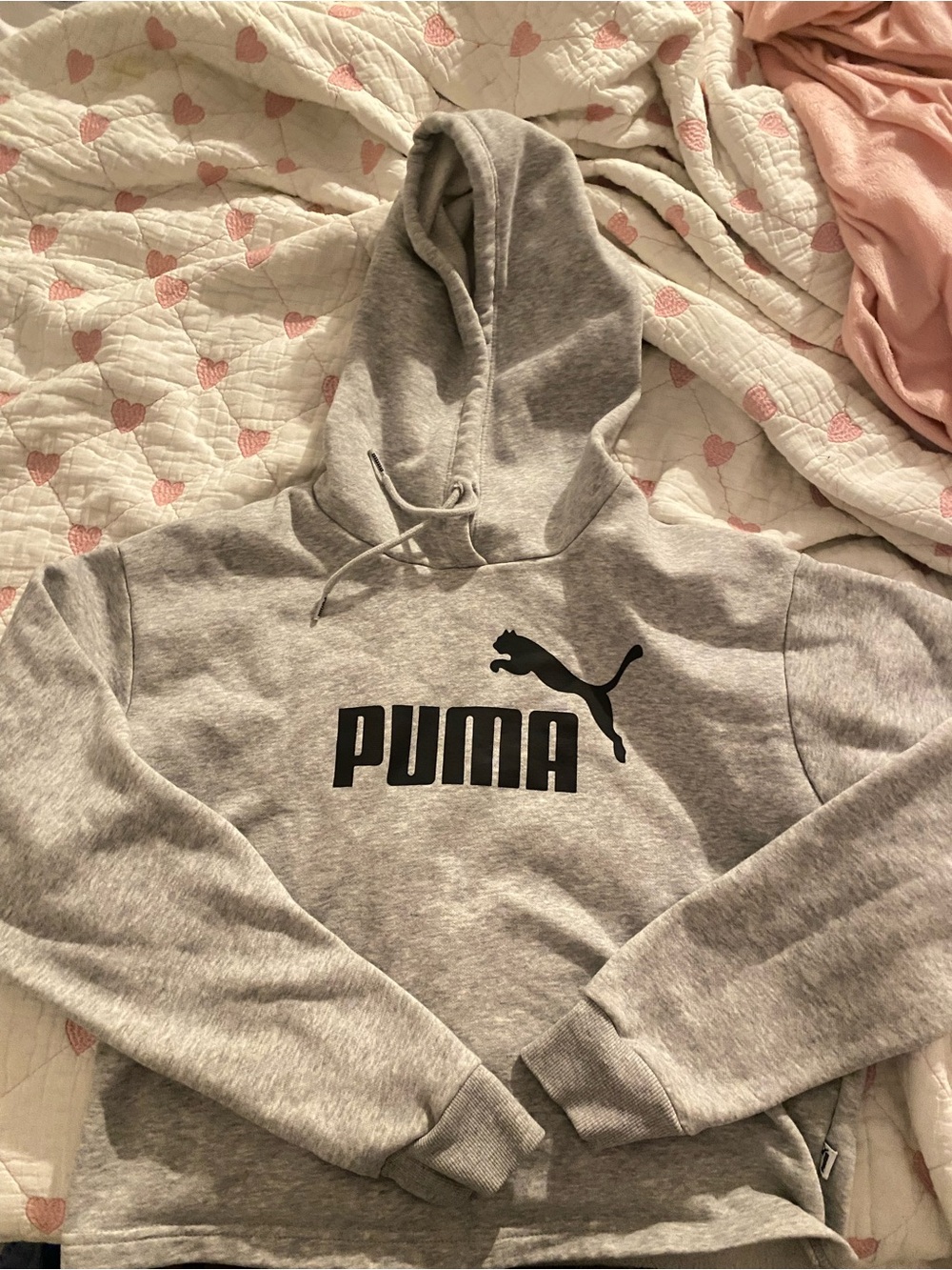 Puma Gray and White Hooded Pullover with Logo Tag